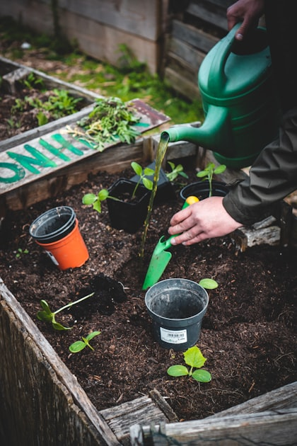 Essential Tools for Small Space Gardening