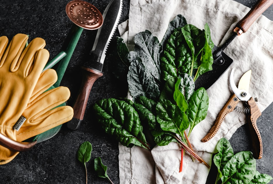 Seasonal Gardening: What to Grow