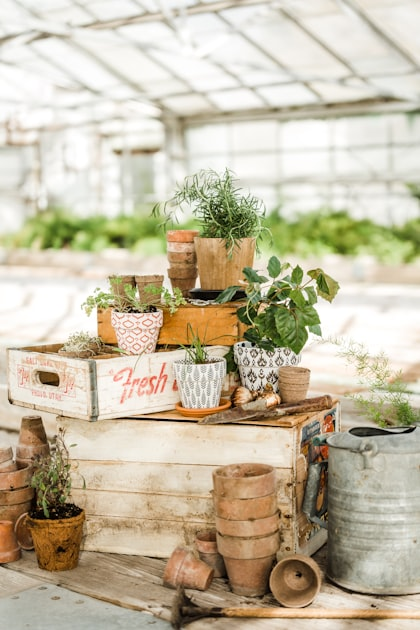 Maximize Your Balcony Gardening